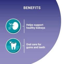 Purina One 7+ Salmon & Ocean Fish Wet Senior Cat Food 17 Purina One 7+ Salmon & Ocean Fish Wet Senior Cat Food -Cat Supplies Store 10996641 T68 ecqdfk