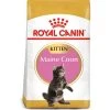 Royal Canin Maine Coon Dry Kitten Cat Food -Cat Supplies Store 2551004 lf7uvm