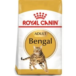 Royal Canin Bengal Dry Adult Cat Food -Cat Supplies Store 2608004 r1rfzm