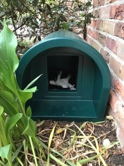 Mr Snugs KatDen Outdoor Cat Kennel/Shelter - Dark Green (Various Options) 26 Mr Snugs KatDen Outdoor Cat Kennel/Shelter - Dark Green (Various Options) -Cat Supplies Store 29CCBEE4 E6E5 4D6C 9B5D 9D74E7A68C63 2