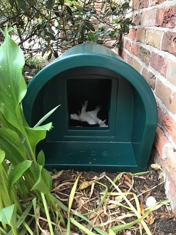 Mr Snugs KatDen Outdoor Cat Kennel/Shelter - Dark Green (Various Options) 8 Mr Snugs KatDen Outdoor Cat Kennel/Shelter - Dark Green (Various Options) - Image 6