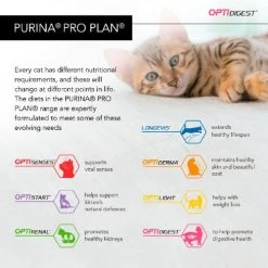 PURINA PRO PLAN PRO PLAN Turkey Delicate Sensitive Digestion Dry Adult Cat Food 12 PURINA PRO PLAN PRO PLAN Turkey Delicate Sensitive Digestion Dry Adult Cat Food -Cat Supplies Store 3222270884129 t62 bpxoby