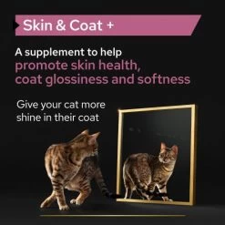 PURINA PRO PLAN PRO PLAN Adult And Senior Skin & Coat Cat Supplement 17 PURINA PRO PLAN PRO PLAN Adult And Senior Skin & Coat Cat Supplement -Cat Supplies Store 3 n9qnqg
