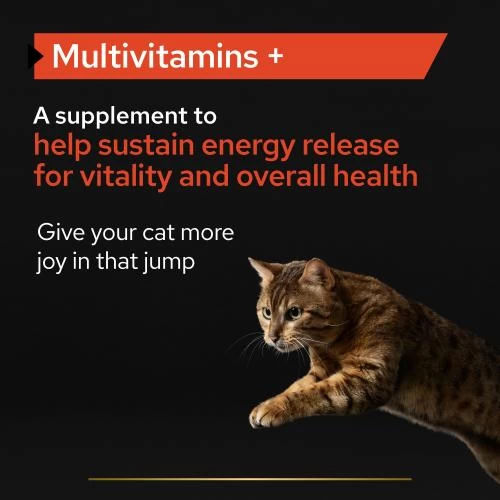 PURINA PRO PLAN PRO PLAN Adult & Senior Multivitamins Cat Supplement 5 PURINA PRO PLAN PRO PLAN Adult & Senior Multivitamins Cat Supplement - Image 3