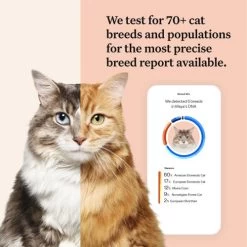Wisdom Panel Complete Cat DNA Testing Kit -Cat Supplies Store 4 Wisdom Panel UK Complete for Cat dtbo1m