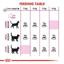 Royal Canin Aroma Exigent Dry Adult Cat Food 12 Royal Canin Aroma Exigent Dry Adult Cat Food -Cat Supplies Store 4 dtny21
