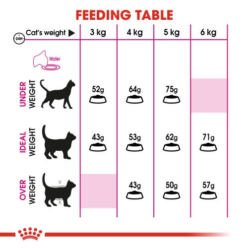 Royal Canin Protein Exigent Dry Adult Cat Food 7 Royal Canin Protein Exigent Dry Adult Cat Food - Image 5