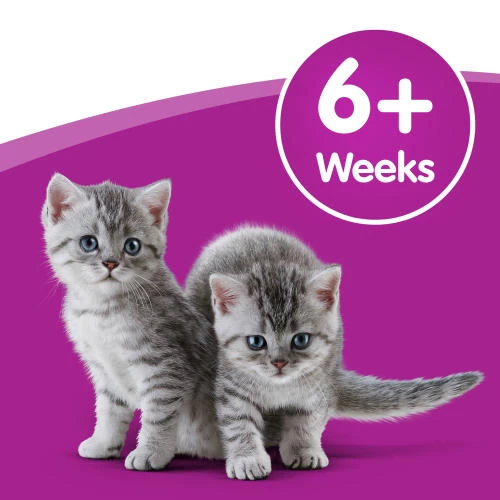 Whiskas Cat Milk 8 Whiskas Cat Milk - Image 6
