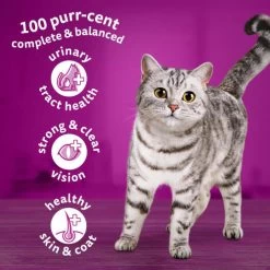 Whiskas 1+ Tuna Dry Adult Cat Food -Cat Supplies Store 5900951299209 T60 zepdoy