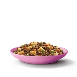 Whiskas Kitten Chicken Dry Cat Food -Cat Supplies Store 5900951305795 T3 svamsp