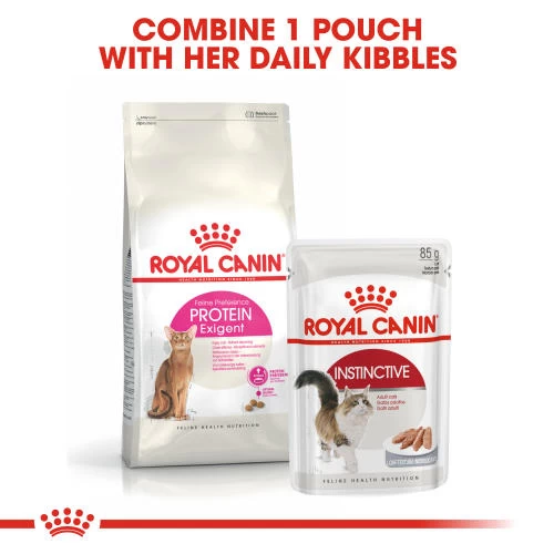 Royal Canin Protein Exigent Dry Adult Cat Food 8 Royal Canin Protein Exigent Dry Adult Cat Food - Image 6