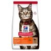 Hill's Science Plan Adult Cat Food Lamb & Rice -Cat Supplies Store 646817