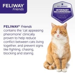 Feliway Friends Cat Calming Diffuser Refill -Cat Supplies Store 6 fvheoa