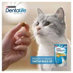 Dentalife Salmon Adult Cat Treats -Cat Supplies Store 7613036725309 T60 ftv2ry
