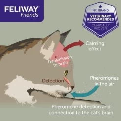 Feliway Friends Cat Calming Diffuser Refill -Cat Supplies Store 7 hpsrh1