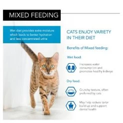 PURINA PRO PLAN PRO PLAN NUTRISAVOUR Salmon In Gravy Housecat Wet Adult Cat Food -Cat Supplies Store 8554489 T61 uq28cj