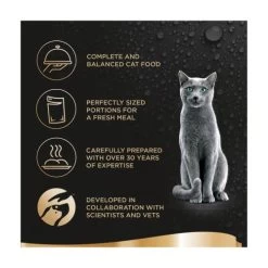 Sheba Fresh & Fine Beef & Chicken In Gravy Wet Adult Cat Food -Cat Supplies Store 9338591 T60 huvrjc