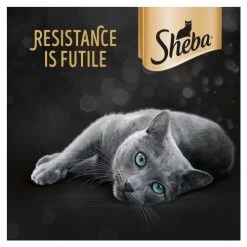 Sheba Fresh & Fine Beef & Chicken In Gravy Wet Adult Cat Food -Cat Supplies Store 9338593 T65 nllkia