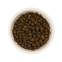 AATU 85/15 Duck Adult Cat Food -Cat Supplies Store AATU Cat Duck dkopb6