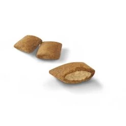 Royal Canin Ageing 12+ Dry Adult Senior Cat Food 9 Royal Canin Ageing 12+ Dry Adult Senior Cat Food -Cat Supplies Store Ageing 12 1 spkpt3