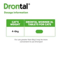 Drontal Worming Tablets For Large Cats Over 4kg -Cat Supplies Store Drontal Cat XL Dosage sscluz