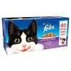 40 X 100g Felix Pouch Mixed Selection In Jelly 1 40 X 100g Felix Pouch Mixed Selection In Jelly -Cat Supplies Store LGsWGmD