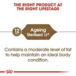 ROYAL CANIN® Ageing Sterilised 12+ Senior Dry Cat Food -Cat Supplies Store aemcccngrxvzg4j7zyup