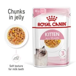 ROYAL CANIN® Kitten In Jelly Wet Food -Cat Supplies Store azj9xk3tfq1jrnhxj51g