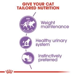 ROYAL CANIN® Sterilised In Jelly Adult Wet Cat Food 17 ROYAL CANIN® Sterilised In Jelly Adult Wet Cat Food -Cat Supplies Store bdreuil2f4ua1u0jcgbu 1