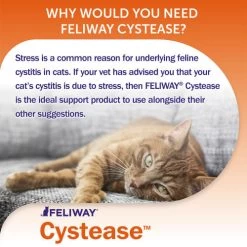 Feliway Cystease Cat Urinary Supplement -Cat Supplies Store cystease pages 1 qxmdab