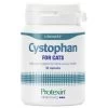 Protexin Cystophan Capsules For Cats
