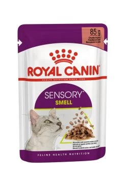 ROYAL CANIN® Sensory Smell In Gravy Adult Wet Cat Food