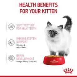 ROYAL CANIN® Kitten In Jelly Wet Food -Cat Supplies Store evhae3kvmu8qsjt21oe1