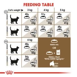 Royal Canin Ageing 12+ Dry Adult Senior Cat Food 12 Royal Canin Ageing 12+ Dry Adult Senior Cat Food -Cat Supplies Store hero4 edjnns