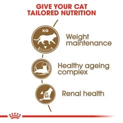 ROYAL CANIN® Ageing Sterilised 12+ Senior Dry Cat Food -Cat Supplies Store i44jnign12vy4fddz6mw