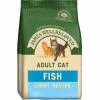 James Wellbeloved Light Fish Adult Dry Cat Food 1 James Wellbeloved Light Fish Adult Dry Cat Food -Cat Supplies Store jb 45