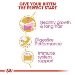 ROYAL CANIN® Persian Kitten Dry Food -Cat Supplies Store l41objfsskofuliwd3yp