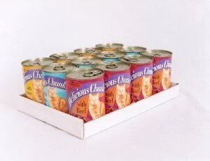 Cambrian Cat Delicious Chunks In Gravy - Variety Can 12 Pack 3 Cambrian Cat Delicious Chunks In Gravy - Variety Can 12 Pack