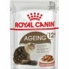 ROYAL CANIN® Ageing 12+ In Gravy Senior Wet Cat Food -Cat Supplies Store n1mjtfxcnwj2lozyrlza