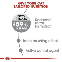 ROYAL CANIN® Oral Care Adult Dry Cat Food -Cat Supplies Store nk5ugqydln157csfwhui