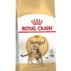 ROYAL CANIN® Bengal Adult Dry Cat Food 2 ROYAL CANIN® Bengal Adult Dry Cat Food -Cat Supplies Store nmw8zqf63944vcbtelop