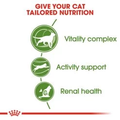 ROYAL CANIN® Outdoor Active 7+ Adult Dry Cat Food -Cat Supplies Store nslru6anjblzntbg3gms