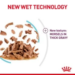 Royal Canin Sensory Feel In Gravy Wet Adult Cat Food -Cat Supplies Store pakugs3ndbvwmefoh9xu lwnw3x