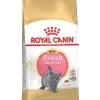 ROYAL CANIN® British Shorthair Kitten Dry Food -Cat Supplies Store ummqjujuajgin0xkrpmc