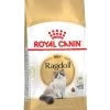 ROYAL CANIN® Ragdoll Adult Dry Cat Food 1 ROYAL CANIN® Ragdoll Adult Dry Cat Food -Cat Supplies Store utqdp0y6knmsttaei2uw