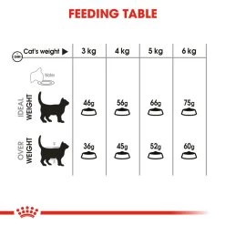ROYAL CANIN® Oral Care Adult Dry Cat Food -Cat Supplies Store xlhm1q1iacjnstyaa6hw