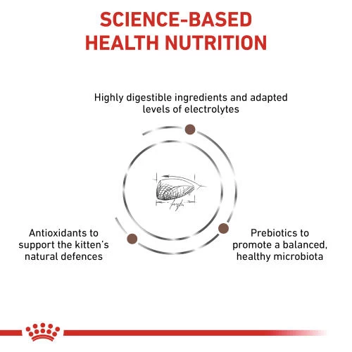Royal Canin Veterinary Diets Gastrointestinal Kitten Dry Cat Food 4 Royal Canin Veterinary Diets Gastrointestinal Kitten Dry Cat Food - Image 2