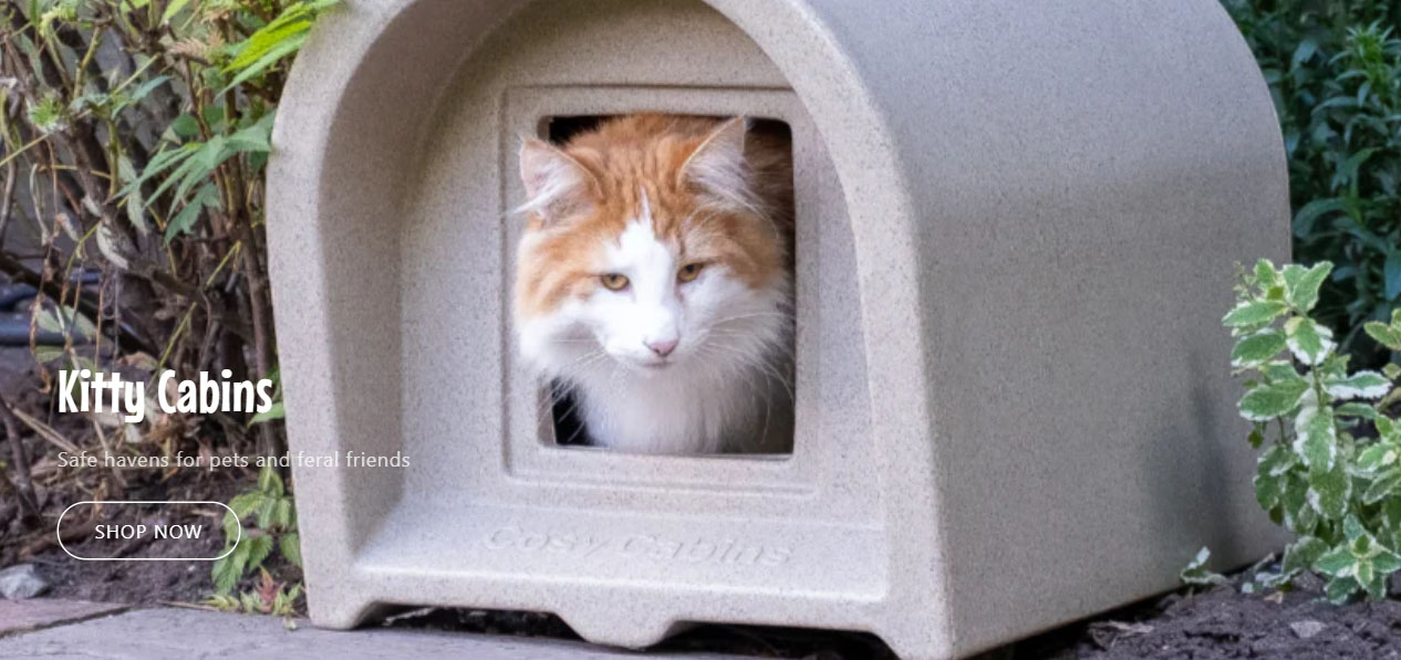 Cat Supplies Store 3 Cat Supplies Store -Cat Supplies Store RGRDH